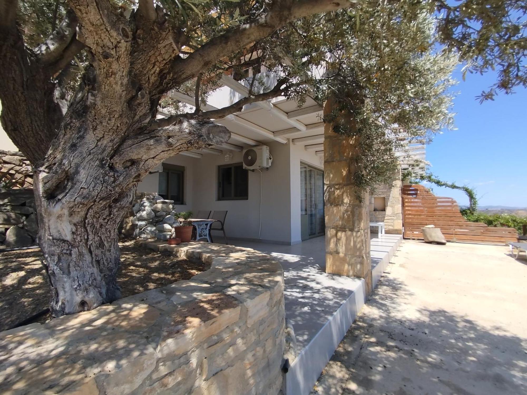 Alexena Apartments أغيا غاليني المظهر الخارجي الصورة